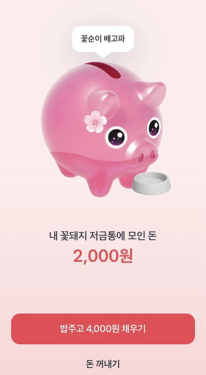 토스 꽃돼지 저금통 하실분!